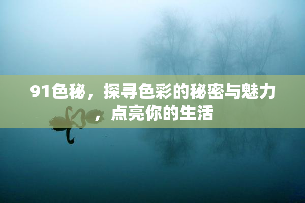 91色秘，探寻色彩的秘密与魅力，点亮你的生活