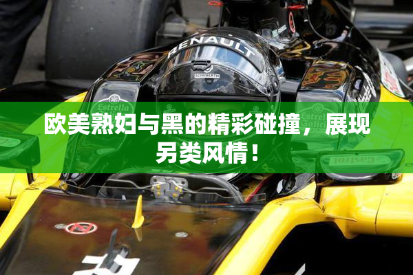 欧美熟妇与黑的精彩碰撞，展现另类风情！