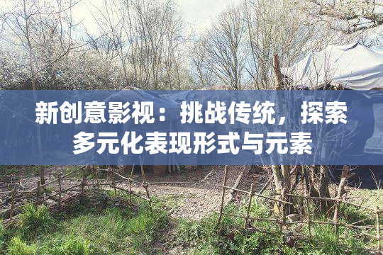 新创意影视：挑战传统，探索多元化表现形式与元素