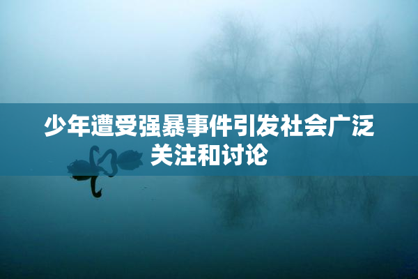 少年遭受强暴事件引发社会广泛关注和讨论