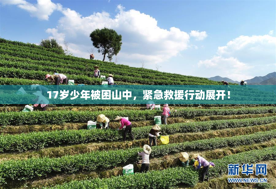 17岁少年被困山中，紧急救援行动展开！