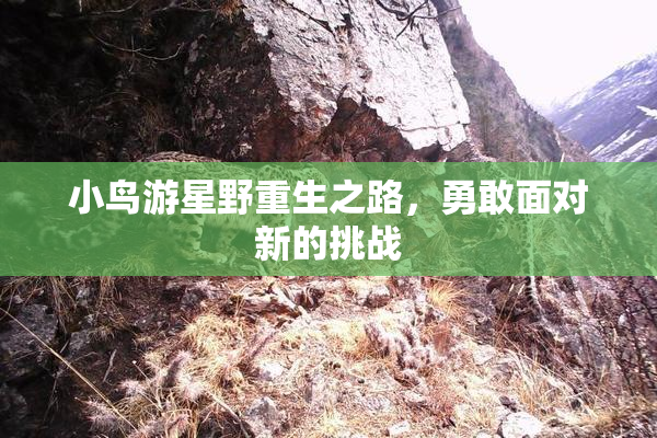 小鸟游星野重生之路，勇敢面对新的挑战