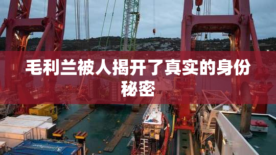毛利兰被人揭开了真实的身份秘密