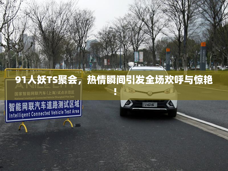 91人妖TS聚会，热情瞬间引发全场欢呼与惊艳！