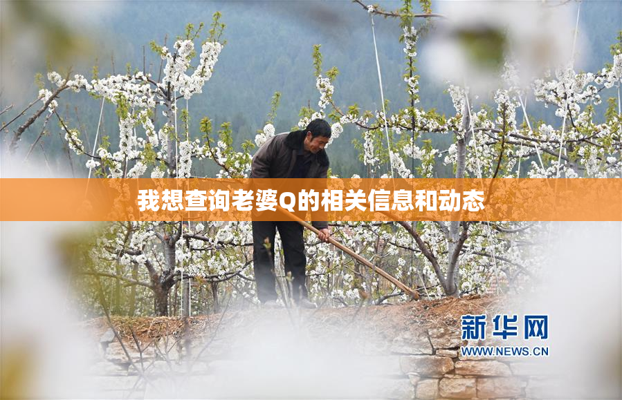 我想查询老婆Q的相关信息和动态