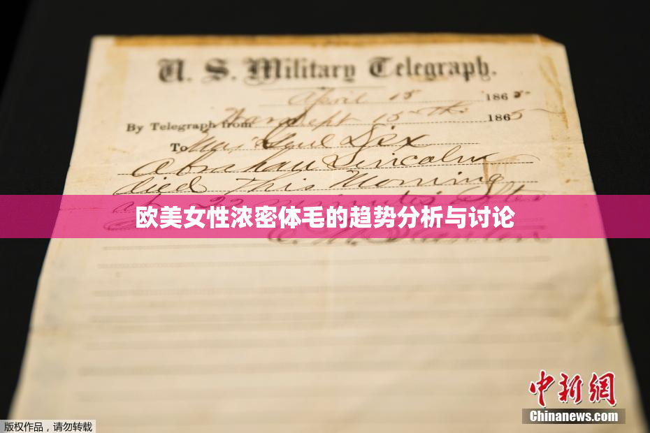 欧美女性浓密体毛的趋势分析与讨论