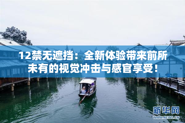 12禁无遮挡：全新体验带来前所未有的视觉冲击与感官享受！