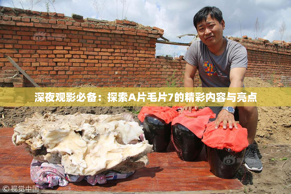 深夜观影必备：探索A片毛片7的精彩内容与亮点