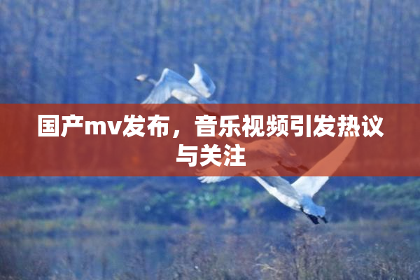 国产mv发布，音乐视频引发热议与关注