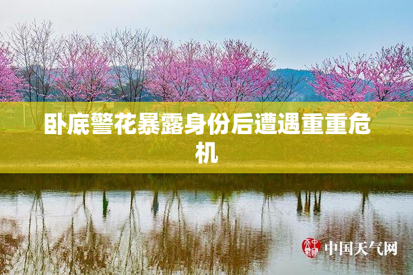卧底警花暴露身份后遭遇重重危机
