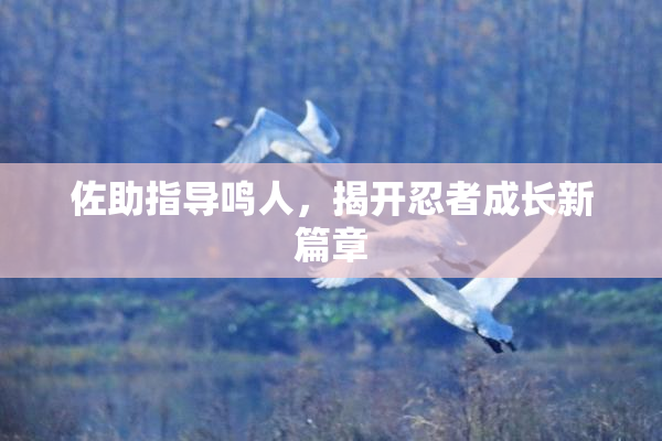 佐助指导鸣人，揭开忍者成长新篇章
