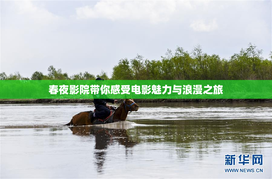 春夜影院带你感受电影魅力与浪漫之旅