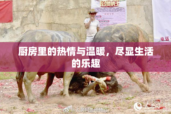 厨房里的热情与温暖，尽显生活的乐趣