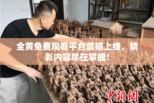 全黄免费观看平台震撼上线，精彩内容尽在掌握！