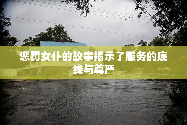 惩罚女仆的故事揭示了服务的底线与尊严