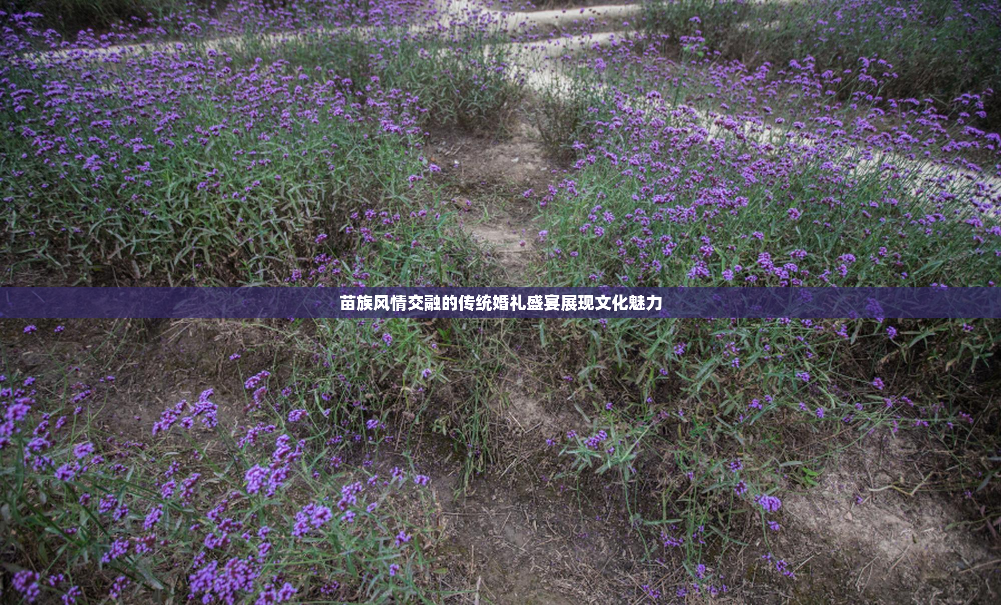 苗族风情交融的传统婚礼盛宴展现文化魅力