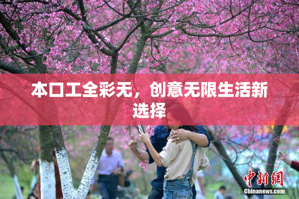 本口工全彩无，创意无限生活新选择