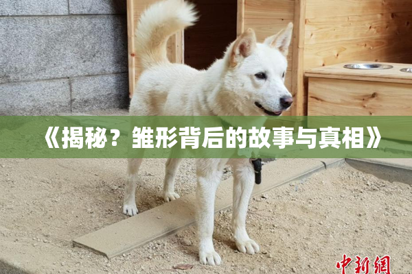 《揭秘？雏形背后的故事与真相》