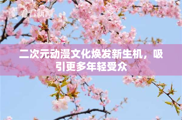 二次元动漫文化焕发新生机，吸引更多年轻受众