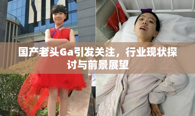 国产老头Ga引发关注，行业现状探讨与前景展望