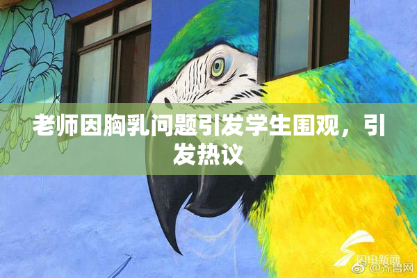 老师因胸乳问题引发学生围观，引发热议