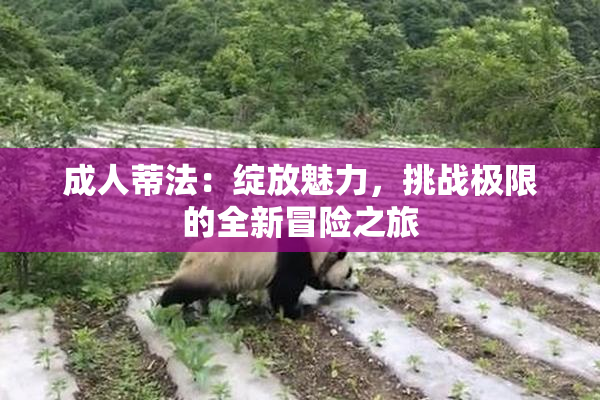成人蒂法：绽放魅力，挑战极限的全新冒险之旅