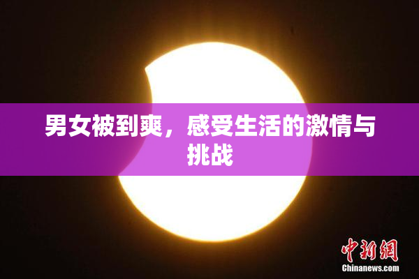 男女被到爽，感受生活的激情与挑战