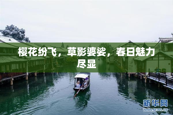 樱花纷飞，草影婆娑，春日魅力尽显