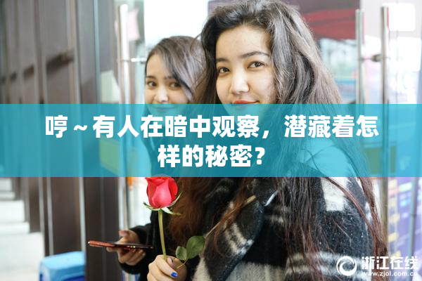 哼～有人在暗中观察，潜藏着怎样的秘密？