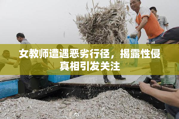 女教师遭遇恶劣行径，揭露性侵真相引发关注