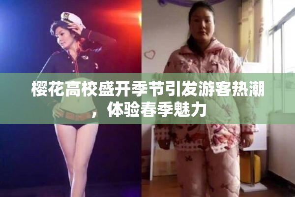 樱花高校盛开季节引发游客热潮，体验春季魅力