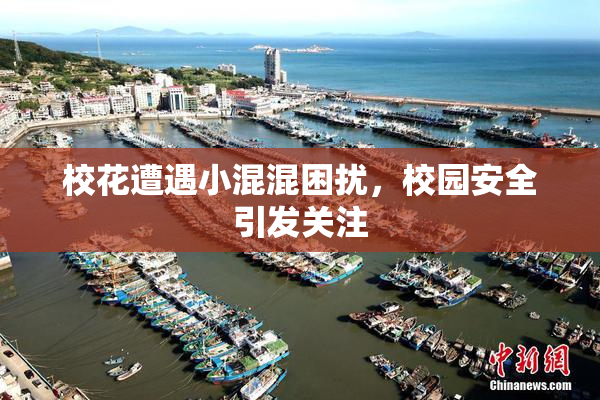 校花遭遇小混混困扰，校园安全引发关注