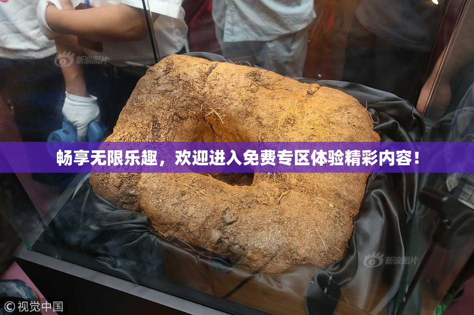 畅享无限乐趣，欢迎进入免费专区体验精彩内容！