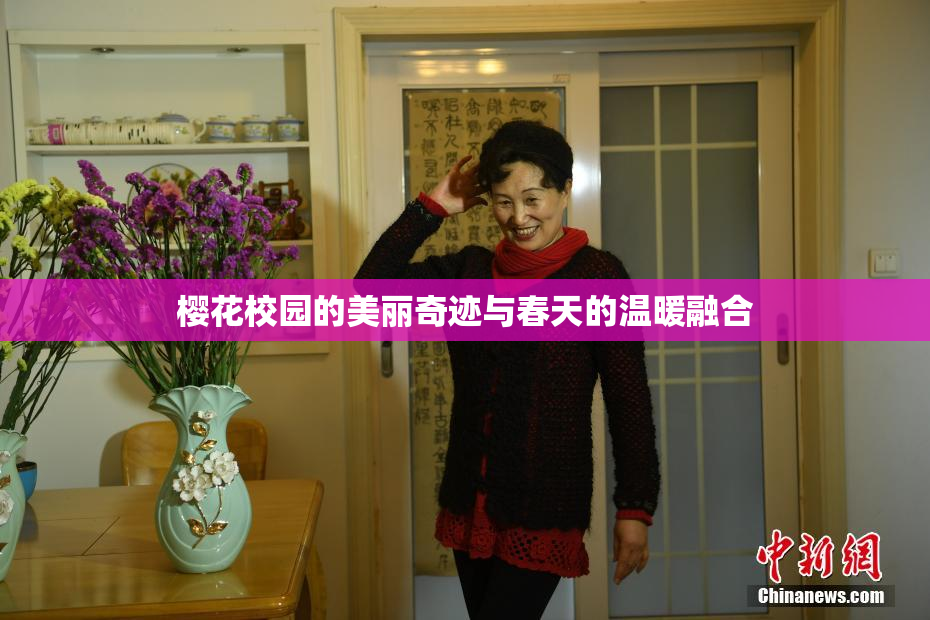 樱花校园的美丽奇迹与春天的温暖融合