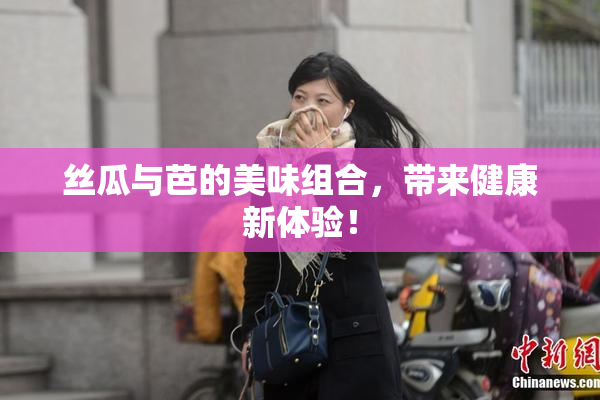 丝瓜与芭的美味组合，带来健康新体验！