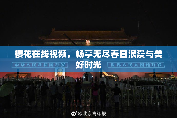 樱花在线视频，畅享无尽春日浪漫与美好时光