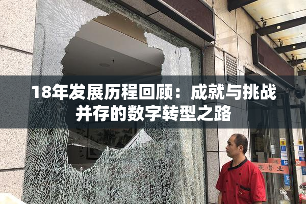 18年发展历程回顾：成就与挑战并存的数字转型之路