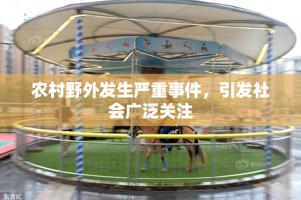 农村野外发生严重事件，引发社会广泛关注