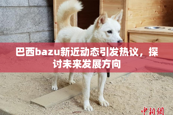 巴西bazu新近动态引发热议，探讨未来发展方向