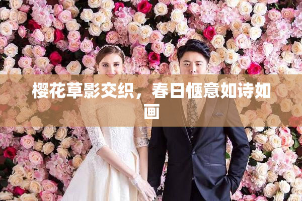 樱花草影交织，春日惬意如诗如画