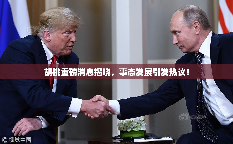 胡桃重磅消息揭晓，事态发展引发热议！