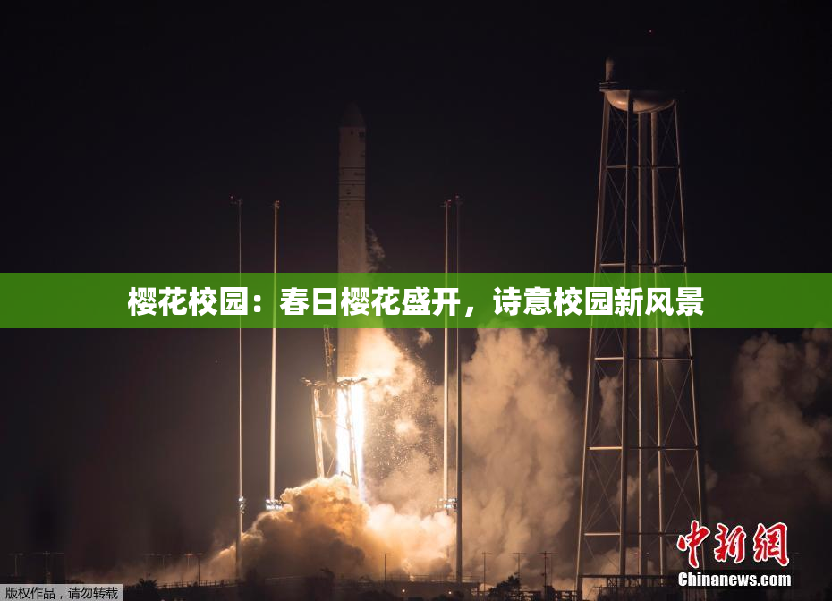 樱花校园：春日樱花盛开，诗意校园新风景