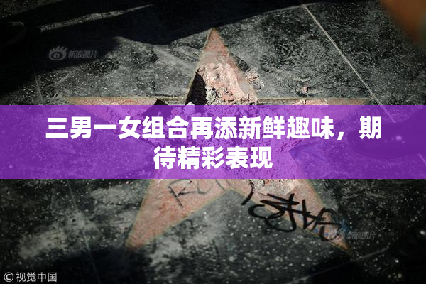 三男一女组合再添新鲜趣味，期待精彩表现