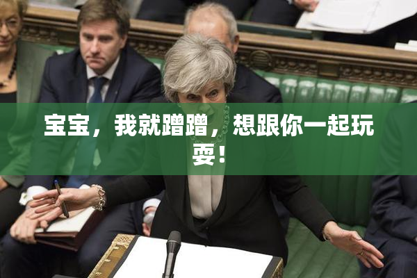 宝宝，我就蹭蹭，想跟你一起玩耍！