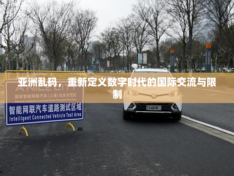 亚洲乱码，重新定义数字时代的国际交流与限制