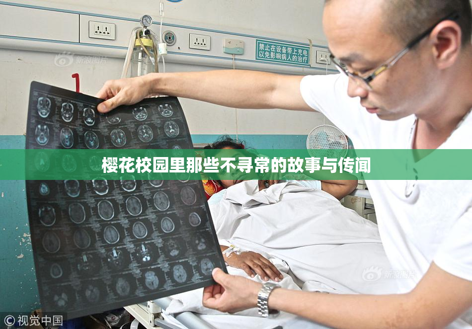 樱花校园里那些不寻常的故事与传闻
