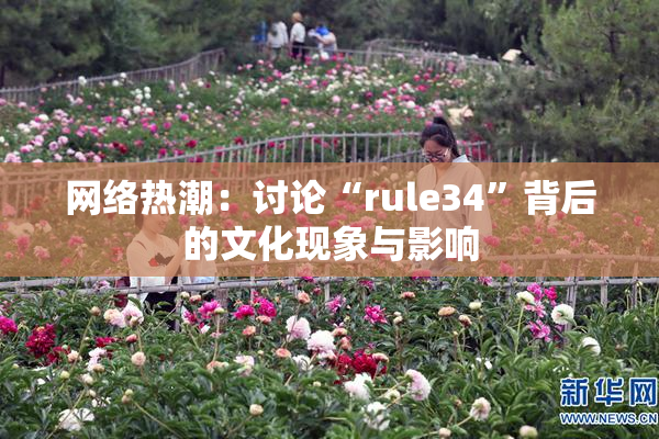 网络热潮：讨论“rule34”背后的文化现象与影响