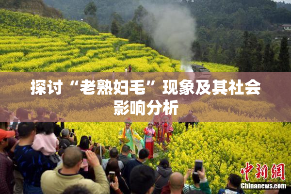 探讨“老熟妇毛”现象及其社会影响分析