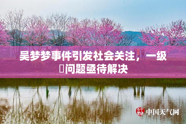 吴梦梦事件引发社会关注，一级婬问题亟待解决