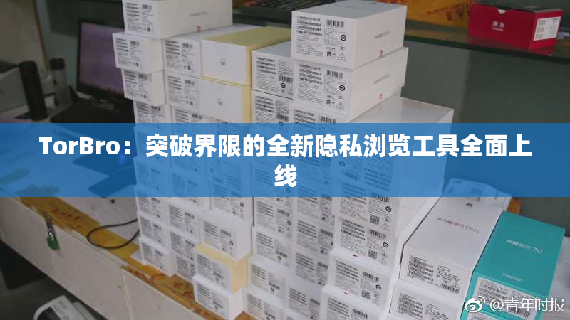TorBro：突破界限的全新隐私浏览工具全面上线